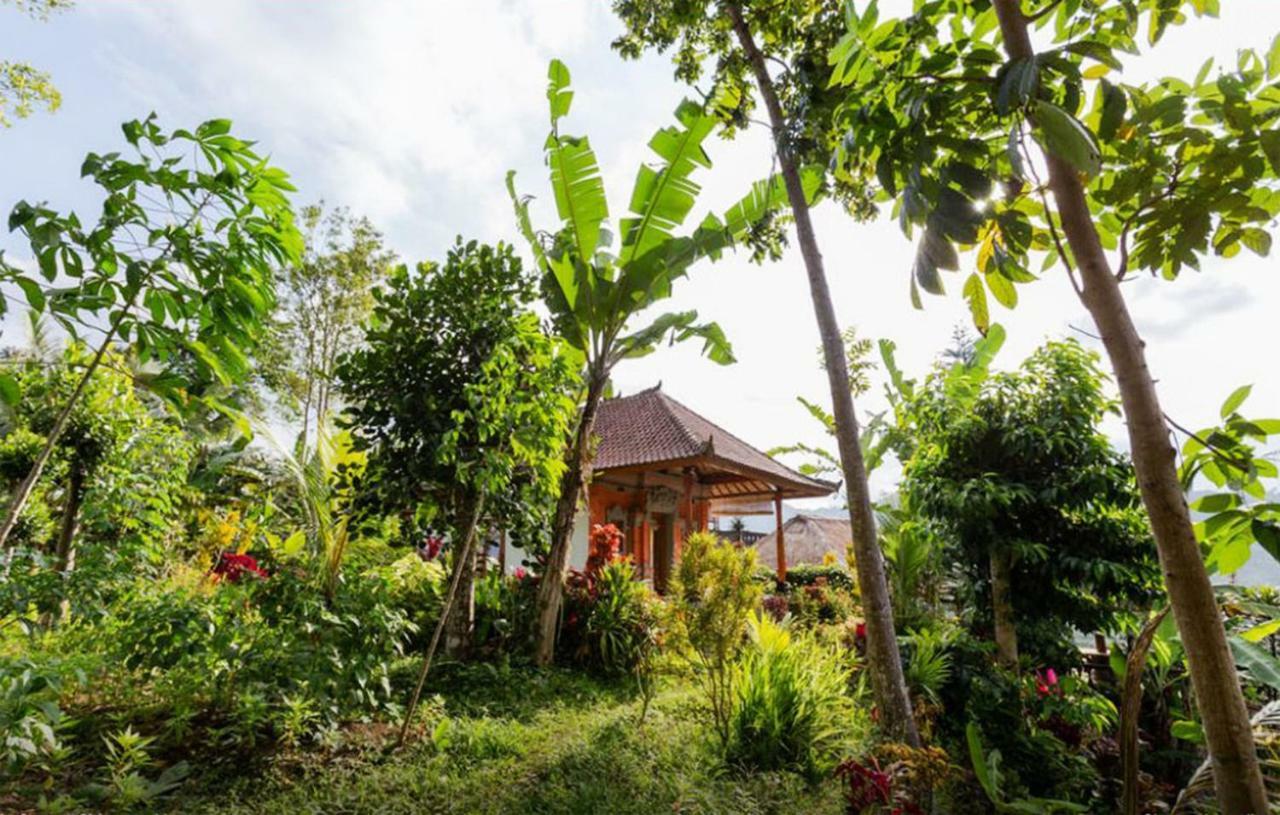 Lila Stana - Sidemen Homestay Экстерьер фото